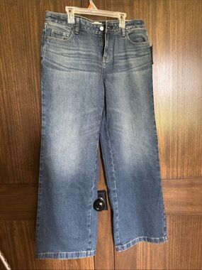 PacSun Casey Low Rise Baggy Wide Leg Women’s Jeans - Blue